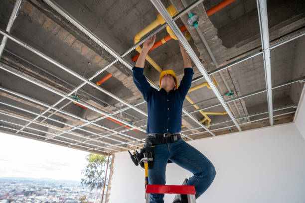 Best Residential Plumbing Services  in Portland, TN