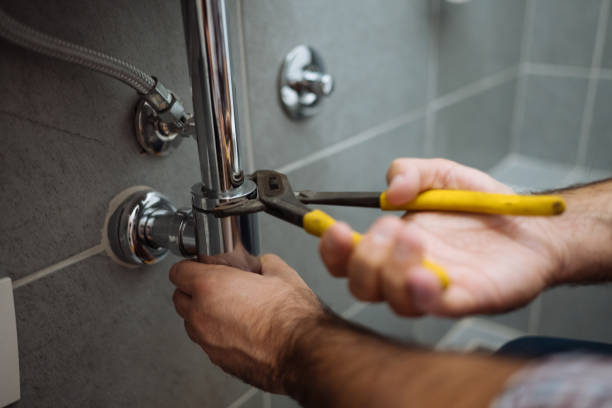 Best Plumbing Inspection Services  in Portland, TN