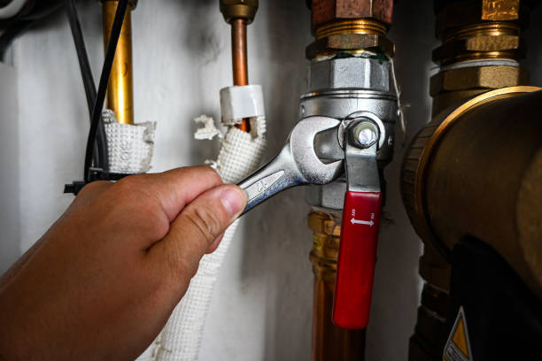 Best Local Plumber Services  in Portland, TN